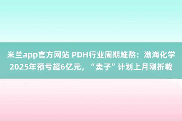 米兰app官方网站 PDH行业周期难熬：渤海化学2025年预亏超6亿元，“卖子”计划上月刚折戟
