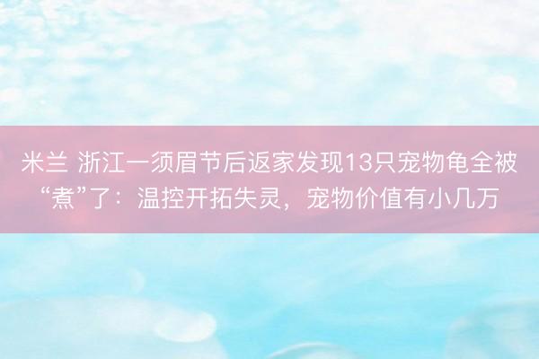 米兰 浙江一须眉节后返家发现13只宠物龟全被“煮”了：温控开拓失灵，宠物价值有小几万