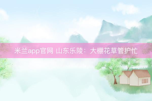 米兰app官网 山东乐陵：大棚花草管护忙